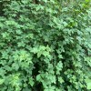建筑猎头顾问张总个人信息_三幸网