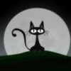 建筑猎头顾问高先生个人信息_三幸网