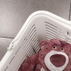 建筑猎头顾问孙萧颖个人信息_三幸网