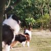 建筑猎头顾问全工个人信息_三幸网