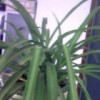 建筑猎头顾问王先生个人信息_三幸网