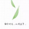 建筑猎头顾问唐琪个人信息_三幸网