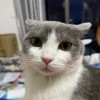 建筑猎头顾问夏先生个人信息_三幸网