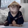 建筑猎头顾问李先个人信息_三幸网
