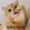 建筑猎头顾问石老师个人信息_三幸网