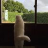 建筑猎头顾问严飞个人信息_三幸网