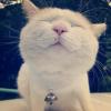 建筑猎头顾问小田个人信息_三幸网