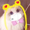 建筑猎头顾问冯小姐个人信息_三幸网