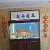 建筑猎头顾问董佳志个人信息_三幸网