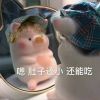 建筑猎头顾问张彬个人信息_三幸网