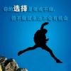 建筑猎头顾问王超个人信息_三幸网