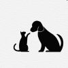 建筑猎头顾问林乾涛个人信息_三幸网