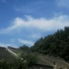 建筑猎头顾问王磊个人信息_三幸网