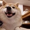 建筑猎头顾问杜经理个人信息_三幸网