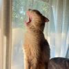 建筑猎头顾问刘芳个人信息_三幸网