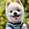 建筑猎头顾问李工个人信息_三幸网