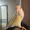 建筑猎头顾问廖工个人信息_三幸网