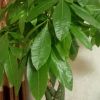 建筑猎头顾问张工个人信息_三幸网