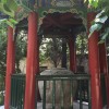 建筑猎头顾问18509229715个人信息_三幸网