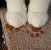 建筑猎头顾问曾先生个人信息_三幸网