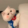 建筑猎头顾问赵女士个人信息_三幸网