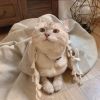 建筑猎头顾问黄浩个人信息_三幸网