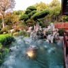 建筑猎头顾问汤小姐个人信息_三幸网