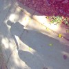 建筑猎头顾问宋伟个人信息_三幸网