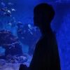 建筑猎头顾问刘文强个人信息_三幸网