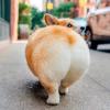 建筑猎头顾问吴老师个人信息_三幸网