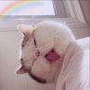 建筑猎头顾问刘小姐个人信息_三幸网