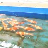 建筑猎头顾问庞先生个人信息_三幸网
