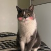 建筑猎头顾问秦铭君个人信息_三幸网