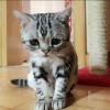 建筑猎头顾问刘工个人信息_三幸网