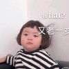 建筑猎头顾问陈依欣个人信息_三幸网
