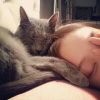 建筑猎头顾问曹经理个人信息_三幸网