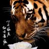 建筑猎头顾问小徐个人信息_三幸网