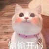 建筑猎头顾问小万个人信息_三幸网