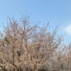 建筑猎头顾问贺伏州个人信息_三幸网