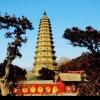 建筑猎头顾问石先生个人信息_三幸网