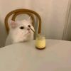 建筑猎头顾问张三个人信息_三幸网
