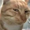 建筑猎头顾问舒维黎个人信息_三幸网