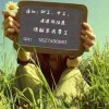 建筑猎头顾问李女士个人信息_三幸网