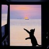 建筑猎头顾问江淑敏个人信息_三幸网