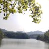 建筑猎头顾问陈叶霞个人信息_三幸网
