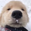 建筑猎头顾问小李个人信息_三幸网