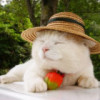 建筑猎头顾问高女士个人信息_三幸网