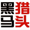 建筑猎头顾问韩工个人信息_三幸网