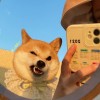 建筑猎头顾问宋工个人信息_三幸网