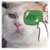 建筑猎头顾问刘工个人信息_三幸网